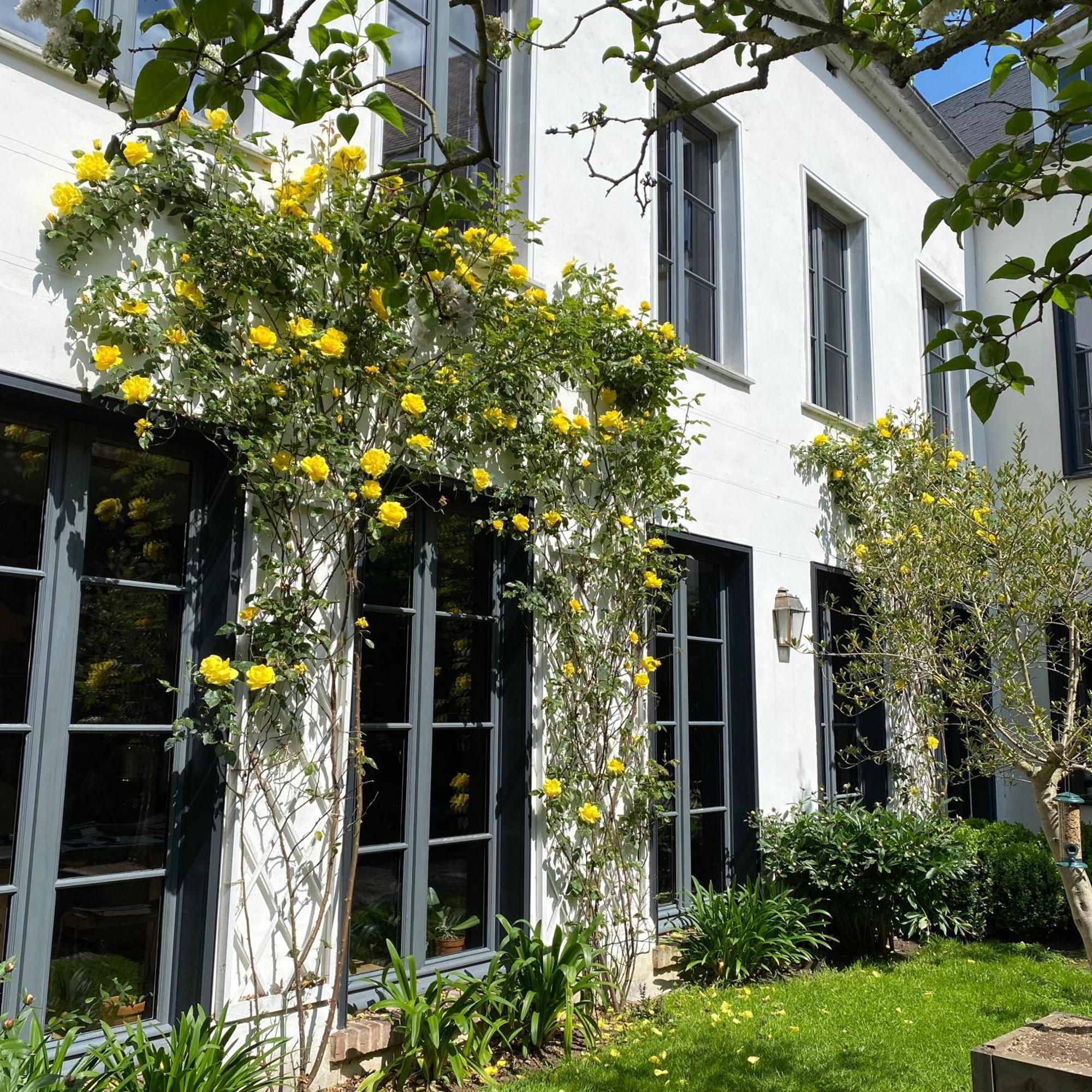 Côté Baie Bed and Breakfast Saint-Valéry-sur-Somme Esterno foto